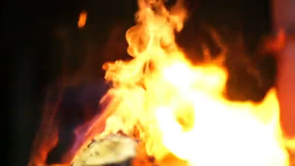 Lagerfeuer Flammen Des Lagerfeuers Nahaufnahme — Stockvideo