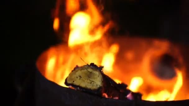 篝火火焰的露营火 — 图库视频影像
