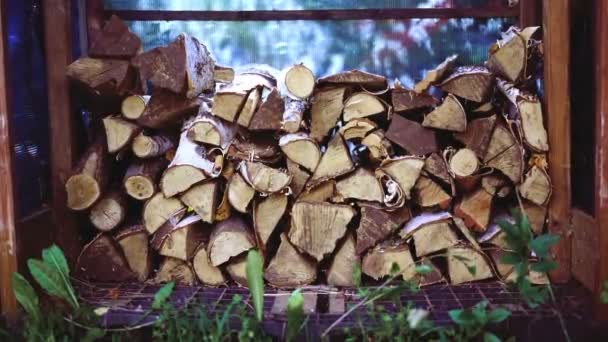 薪のスタック 薪暖炉のために準備の山 薪背景 — ストック動画
