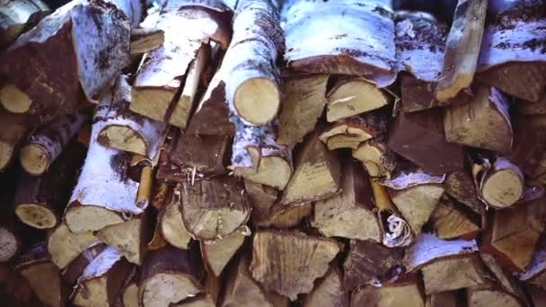 Brennholzstapel Haufen Brennholz Für Den Kamin Vorbereitet Brennholz Hintergrund — Stockvideo