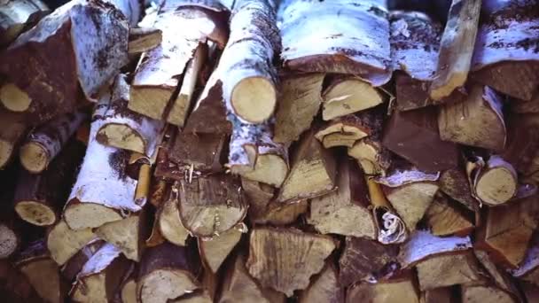 Montones Leña Montón Leña Preparada Para Chimenea Fondo Leña — Vídeos de Stock