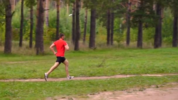 Hombre Corriendo Parque Saludable Fitness Estilo Vida Bienestar Deporte Cardio — Vídeo de stock