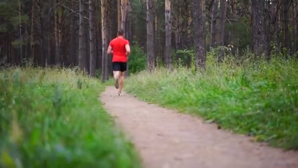 公園で走っている男 フィットネス ウェルネス ライフ スタイル スポーツ 心肺機能のトレーニング コンセプト — ストック動画