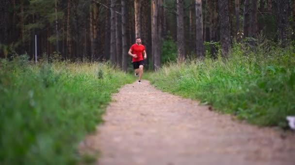 Άνθρωπος Που Τρέχει Στο Πάρκο Υγιεινή Φυσική Κατάσταση Ευεξία Του — Αρχείο Βίντεο