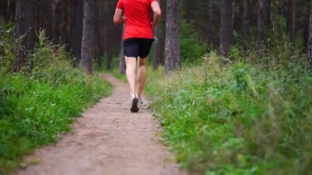 Man Running Park Healthy Fitness Wellness Lifestyle Sport Cardio Workout — Stock Video