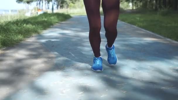 Donna Corsa Corridore Donna Che Jogging All Aperto Nel Parco — Video Stock