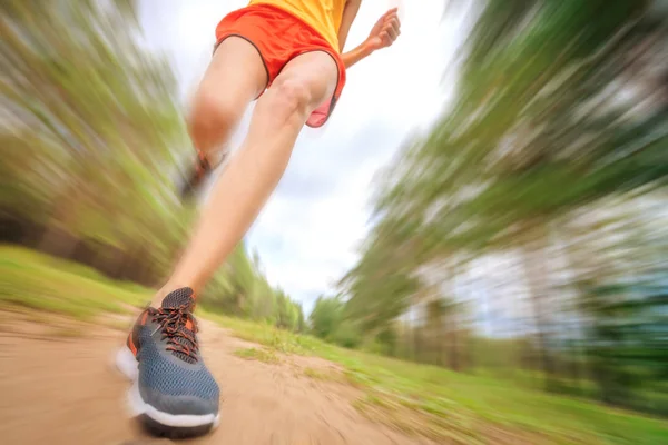 Closeup of athlete\'s feet running at the park. Fitness woman jogging outdoors. Exercising on forest path. Healthy, fitness, wellness lifestyle. Sport, cardio, workout concept