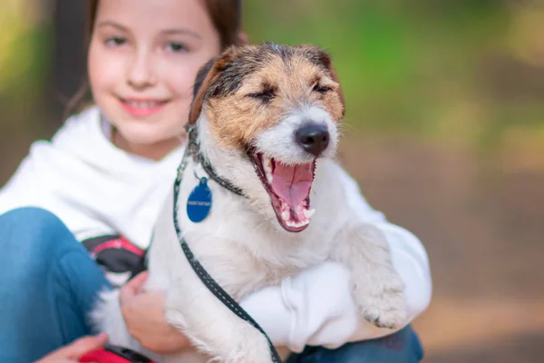 Маленькая Девочка Обнимает Свою Собаку Хозяин Гуляет Своим Питомцем Парке — стоковое фото