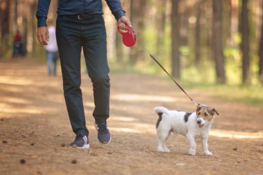 Bir yaz parkta köpeğiyle yürüyen adam