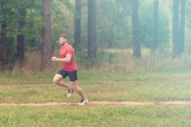 Çalışan adam. Parkta koşu Erkek atlet. Adam eğitim açık havada. Orman yolu üzerinde egzersiz. Sağlıklı, fitness, sağlıklı yaşam yaşam tarzı. Spor, kalbî, egzersiz kavramı