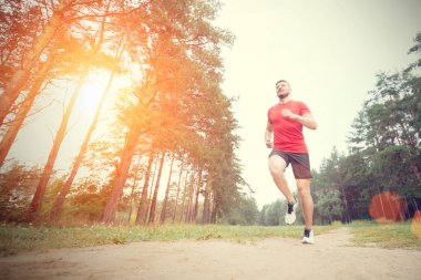 Çalışan adam. Parkta koşu Erkek atlet. Adam eğitim açık havada. Orman yolu üzerinde egzersiz. Sağlıklı, fitness, sağlıklı yaşam yaşam tarzı. Spor, kalbî, egzersiz kavramı