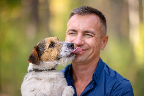 Küçük köpek insan yüzü yalıyor. Parkta oynayan onun köpek olan adam. Onun hayvan sahibi hugs.