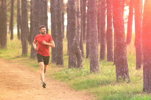 Çalışan adam. Parkta koşu Erkek atlet. Adam eğitim açık havada. Orman yolu üzerinde egzersiz. Sağlıklı, fitness, sağlıklı yaşam yaşam tarzı. Spor, kalbî, egzersiz kavramı