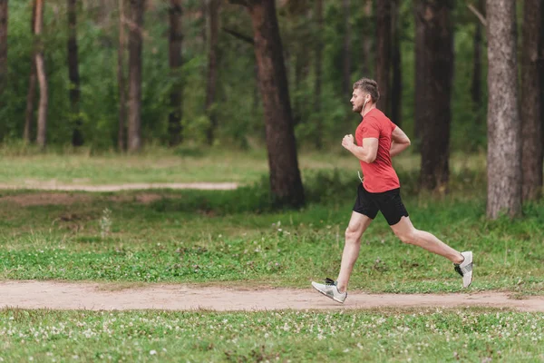 Çalışan adam. Parkta koşu Erkek atlet. Adam eğitim açık havada. Orman yolu üzerinde egzersiz. Sağlıklı, fitness, sağlıklı yaşam yaşam tarzı. Spor, kalbî, egzersiz kavramı