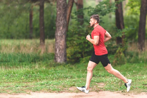 Çalışan adam. Parkta koşu Erkek atlet. Adam eğitim açık havada. Orman yolu üzerinde egzersiz. Sağlıklı, fitness, sağlıklı yaşam yaşam tarzı. Spor, kalbî, egzersiz kavramı