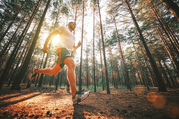 Çalışan adam. Parkta koşu Erkek atlet. Adam eğitim açık havada. Orman yolu üzerinde egzersiz. Sağlıklı, fitness, sağlıklı yaşam yaşam tarzı. Spor, kalbî, egzersiz kavramı