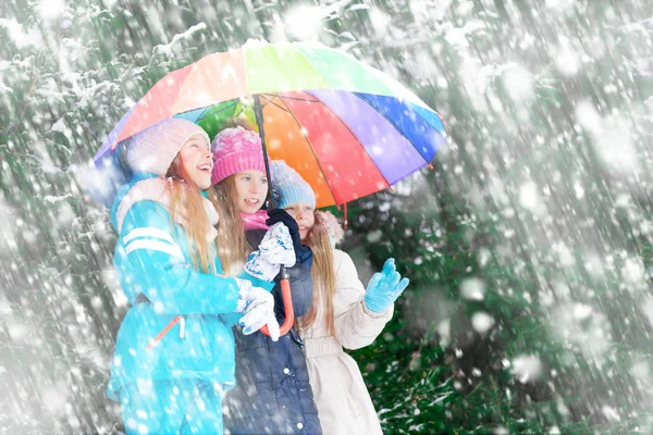 Weinig Vriendinnen Onder Paraplu Tijdens Zware Sneeuwval Het Bos — Stockfoto