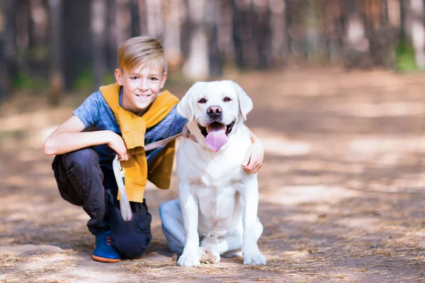 Boy hugging a dog. Child walking with a golden retriever in the park
