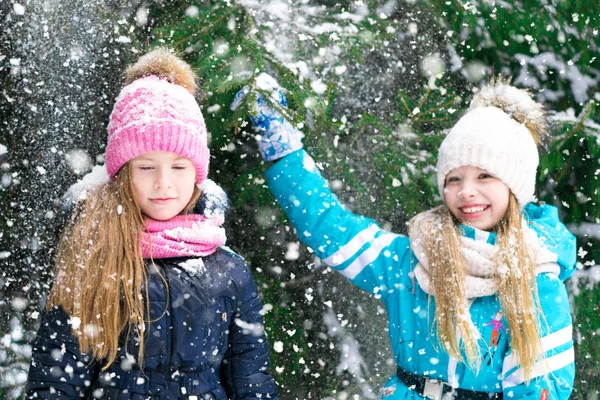 Δύο Χαριτωμένο Μικρό Κορίτσι Φίλοι Διασκεδάσουν Παίζοντας Ένα Χιονισμένο Δάσος — Φωτογραφία Αρχείου
