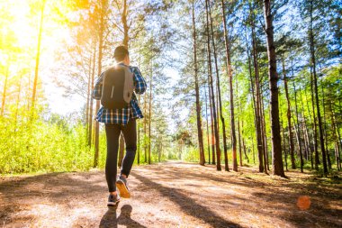 Bir çocuk bir sırt çantası ile güneşli bir ormana hiking.