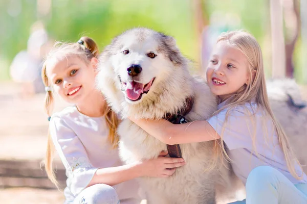 Meninas Felizes Abraçando Cão Floresta Verão — Fotografia de Stock