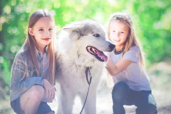 Två Små Flickor Med Hund Parken Stora Hunden — Stockfoto
