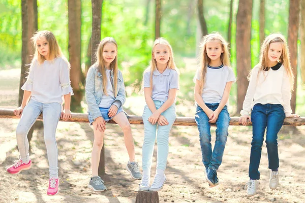 夏の森の中を歩く上で 人の女の子の子供のグループは 木の梁の上に腰を下ろした 明るく晴れた日 — ストック写真