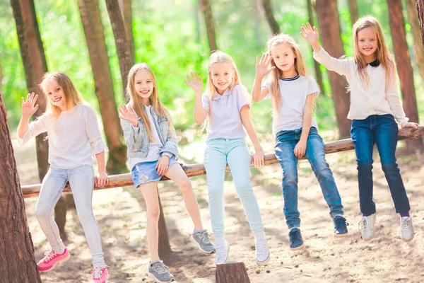 夏の森の中を歩く おかしい女の子子供のグループ 木の梁の上に座る 楽しさと喜び 明るく晴れた日 — ストック写真