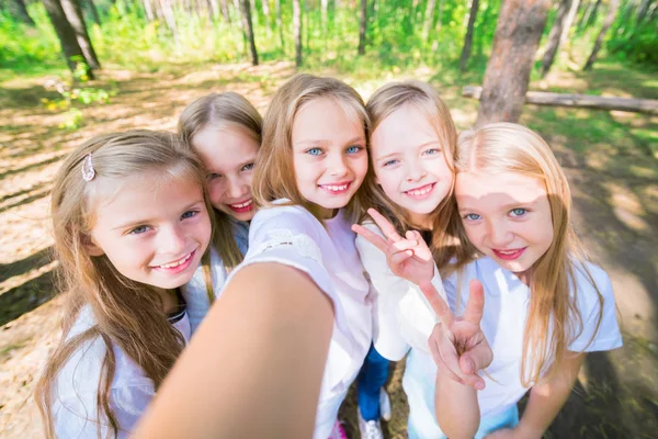 人の女の子の子供のグループは 夏の森の木の背景に Selfie を作る 明るく晴れた日 ガール フレンド — ストック写真