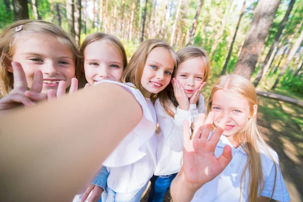 人の女の子の子供のグループは 夏の森の木の背景に Selfie を作る 明るく晴れた日 ガール フレンド — ストック写真