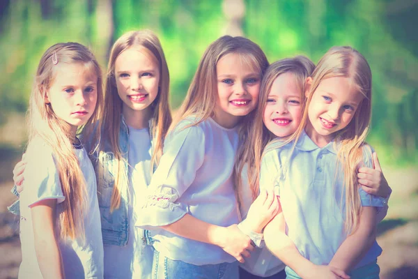 Een Groep Van Vijf Meiden Kids Knuffelen Wandelen Zomer Bos — Stockfoto