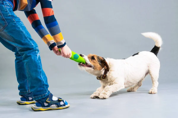 Çocuk stüdyodan bir köpekle oynuyor. Close