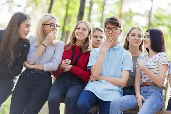 Kládě Sedí Skupina Teenagerů Letním Lese Mluvit Smát — Stock fotografie