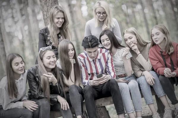 Legrační Teenageři sedí na lavičce v lese, podívej se na telefon. — Stock fotografie