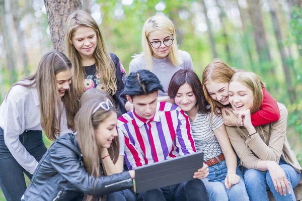 Группа подростков в возрасте 15-19 лет сидят летом f Стоковое Фото
