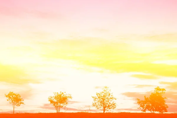 五颜六色的日落与树剪影 颜色效果色调 — 图库照片