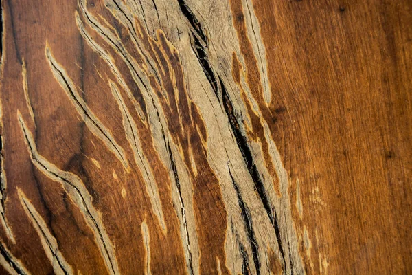 Stare drewno tło i tekstura — Zdjęcie stockowe