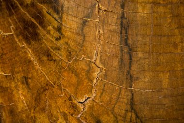 eski ahşap arka plan ve doku