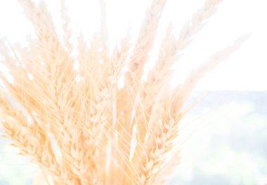 blure ve pozlama arka plan üzerinde