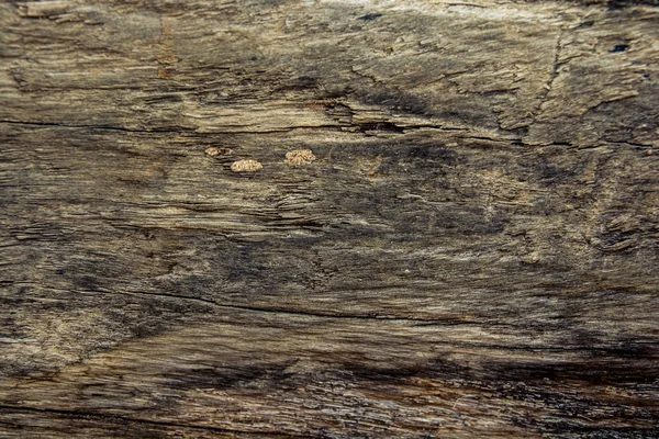 Vecchio sfondo in legno e texture — Foto Stock