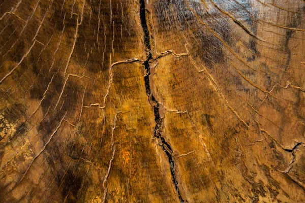 Vecchio sfondo in legno e texture — Foto Stock