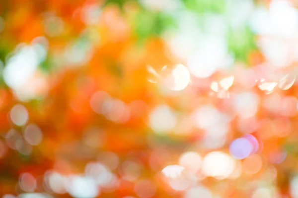 Bokeo von schönen Licht in morning.blur Hintergrund. — Stockfoto