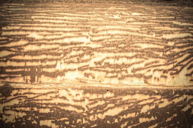 Eski paslı çinko plat duvar