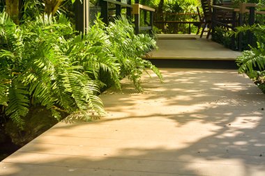 Taş, su ve çalılar ile Japon Bahçesi