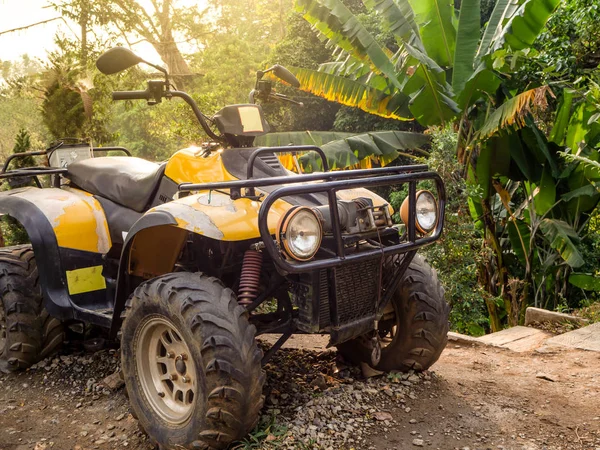 Atv en las montañas de la tarde y el árbol — Foto de Stock