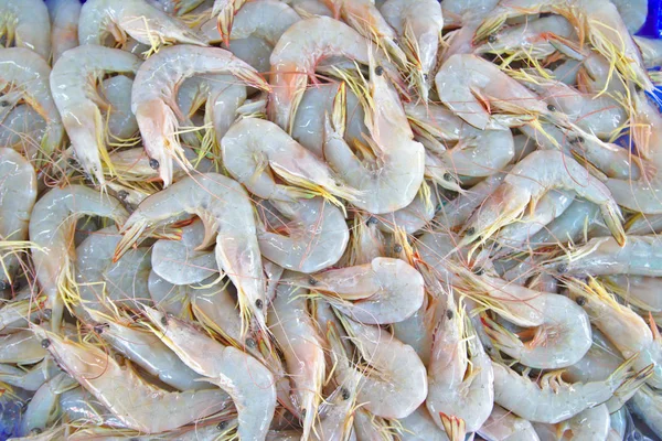 Gamberetti Freschi Mercato Dei Frutti Mare — Foto Stock