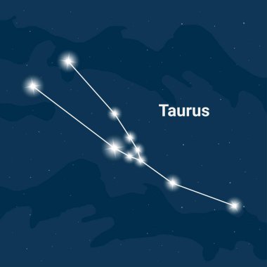 Takımyıldızı Toros (The Bull) - vektör