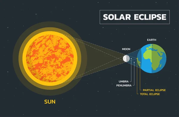 Diagram Gerhana Matahari Vektor - Stok Vektor