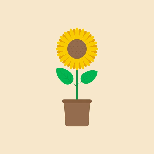 Sunflower in flower pot flat design - Vector