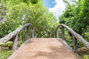 Bahçe ağaç ve mavi gökyüzü arka plan ile Köprü.